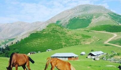 دشت النزه + زیبایی های آن