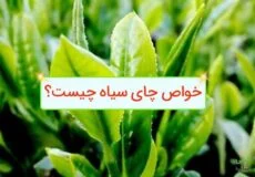 خواص چای سیاه چیست؟