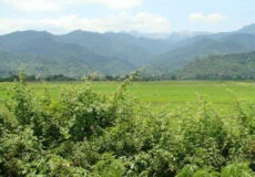 روستای عباس آباد آستارا