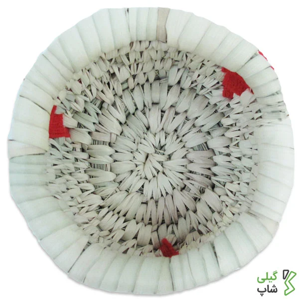 dcvfsdhbd ظرف کپو