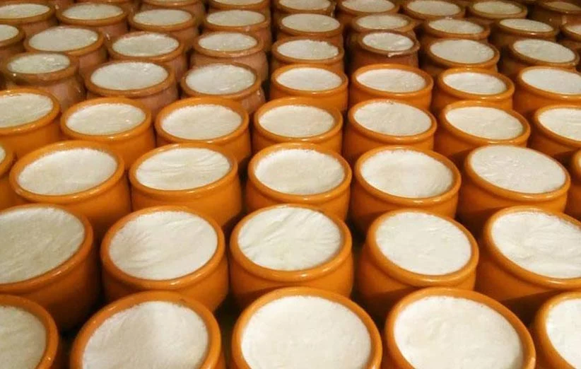 طرز تهیه ماست در ظرف سفالی مخصوص