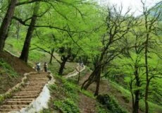جاهای دیدنی گیلان