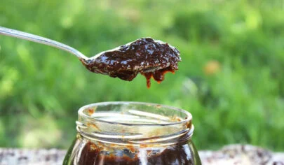 طرز تهیه رب آلوچه خانگی و شمالی