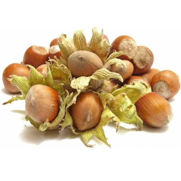 خرید فندق با پوست گیلان