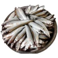 خرید ماهی اسلک شمال