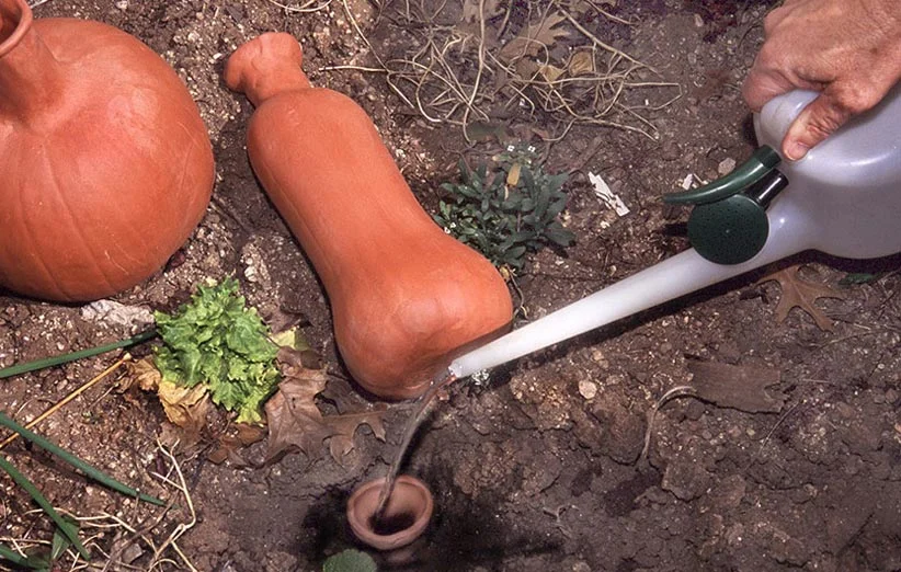 آبیاری با ظروف سفالی یا ( آبیاری کوزه ای )