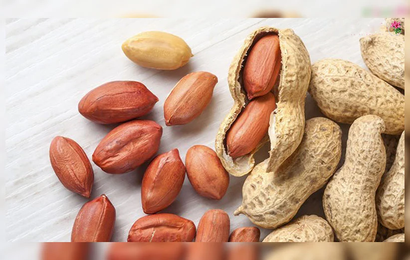 خواص بادام زمینی