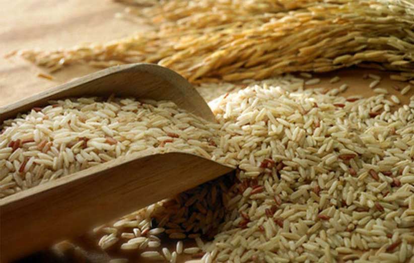 مصرف سبوس برنج