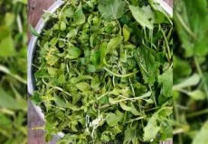 نام سبزی های محلی گیلان و یا نام سبزی های معطر شمالی