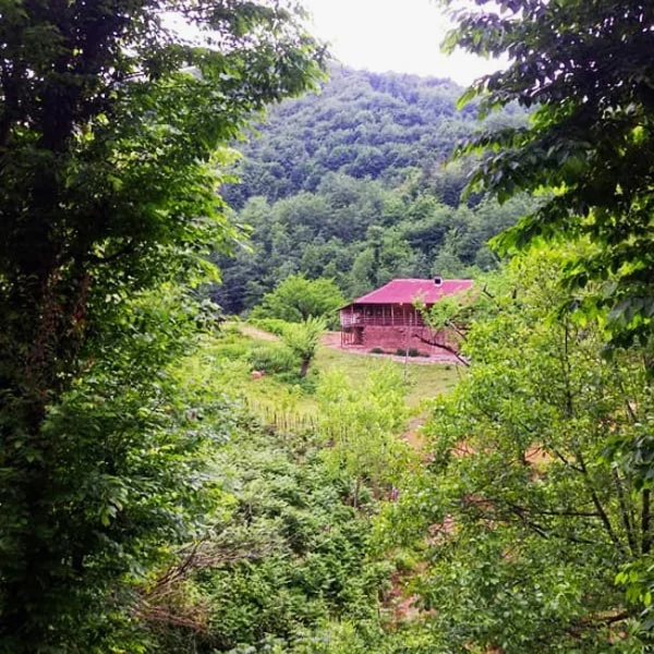 رزرو اقامتگاه بوم گردی پیله بابا رشت (2) رزرو اقامتگاه بوم گردی پیله بابا رشت