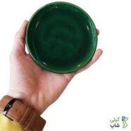 نعلبکی و پیش دستی سفالی طرح ساده | سبز