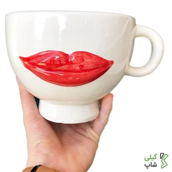 گلدان سفالی طرح لب قرمز با دسته کد g-022 (3) گلدان سفالی طرح لب قرمز با دسته کد: g-022