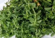 مضرات و عوارض سبزی خالواش چیست؟