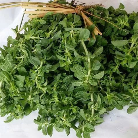 مضرات و عوارض سبزی خالواش چیست؟