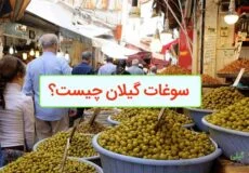 سوغات گیلان چیست؟
