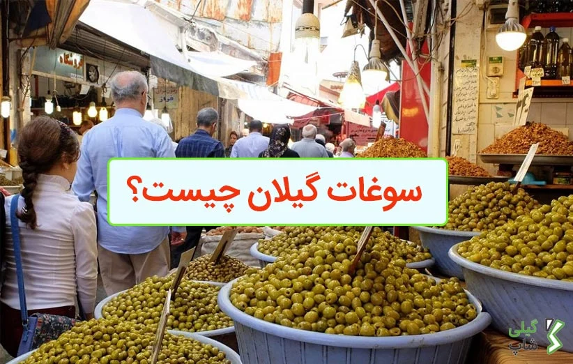 سوغات گیلان چیست؟