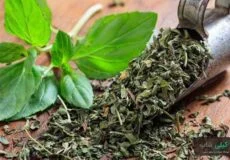 نگهداری سبزی چوچاق به چه صورت است؟
