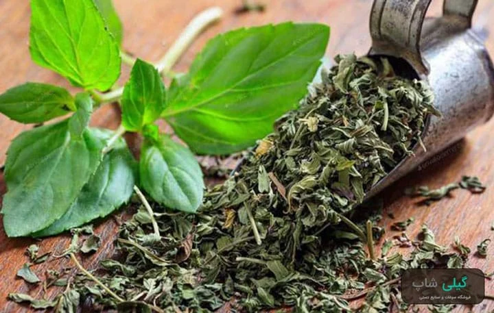 نگهداری سبزی چوچاق به چه صورت است؟